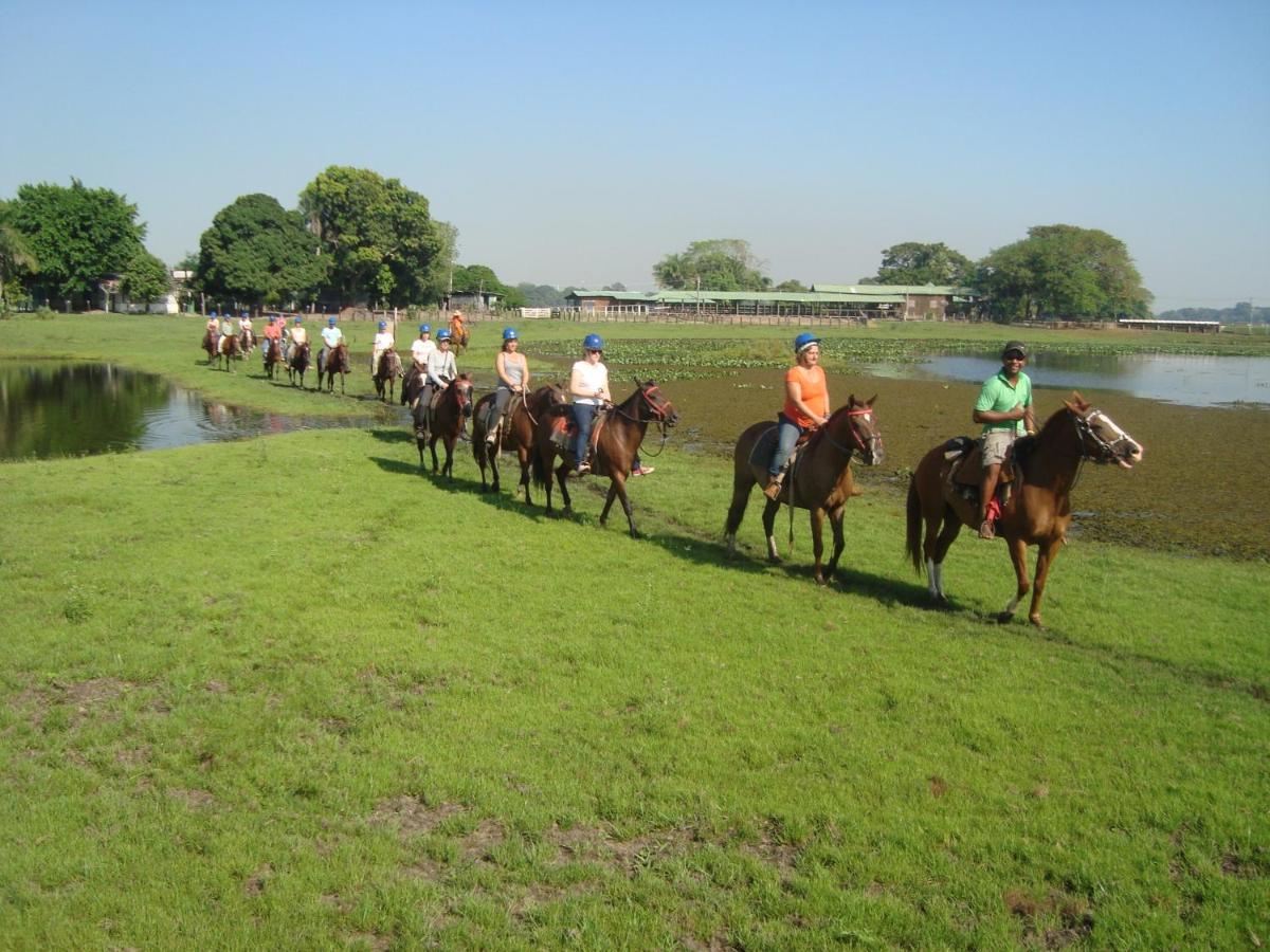 Pantanal Jungle Lodge Passo do Lontra Zewnętrze zdjęcie