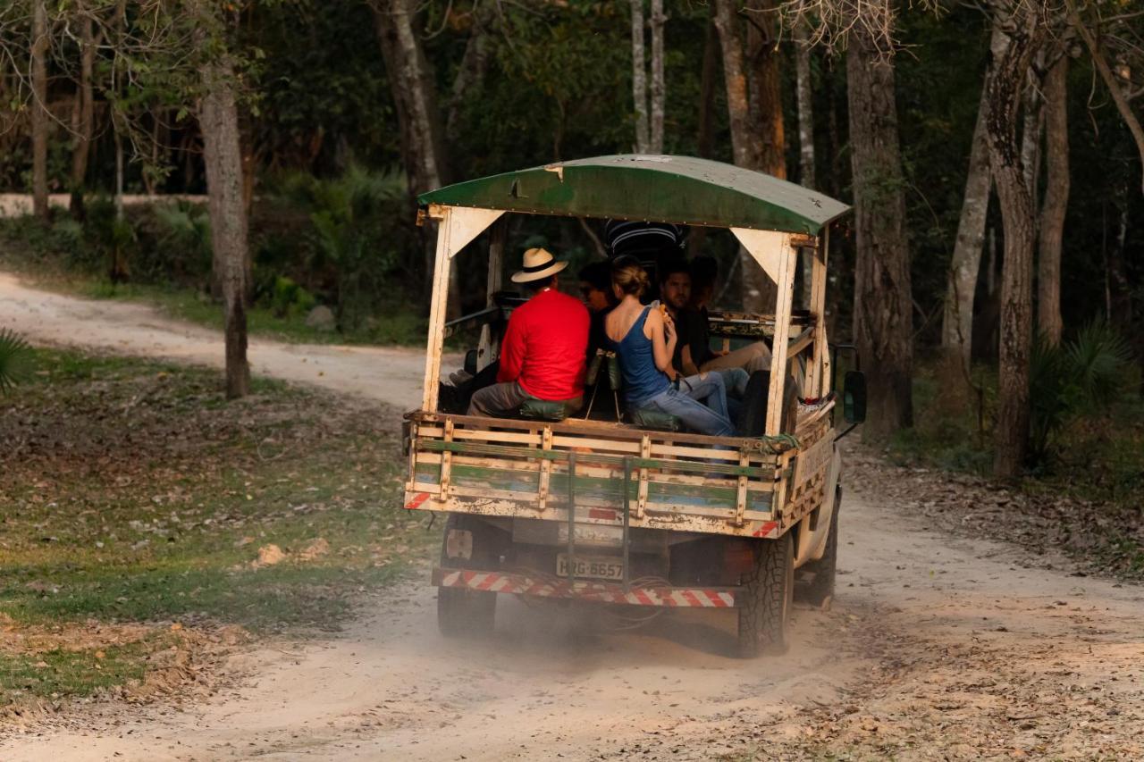 Pantanal Jungle Lodge Passo do Lontra Zewnętrze zdjęcie