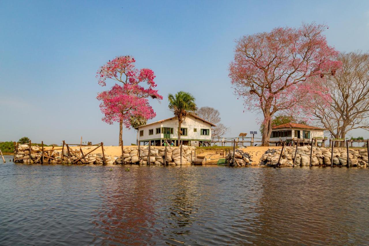 Pantanal Jungle Lodge Passo do Lontra Zewnętrze zdjęcie
