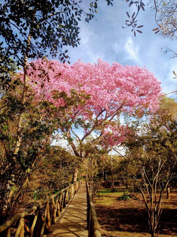Pantanal Jungle Lodge Passo do Lontra Zewnętrze zdjęcie